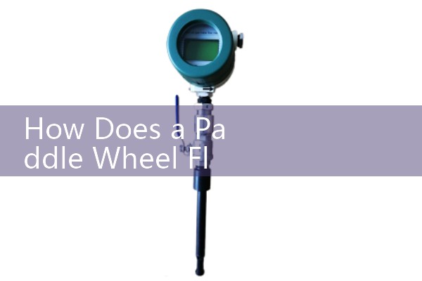 How Does a Paddle Wheel Flow Meter Work: Digital Pulse Signal Frequency